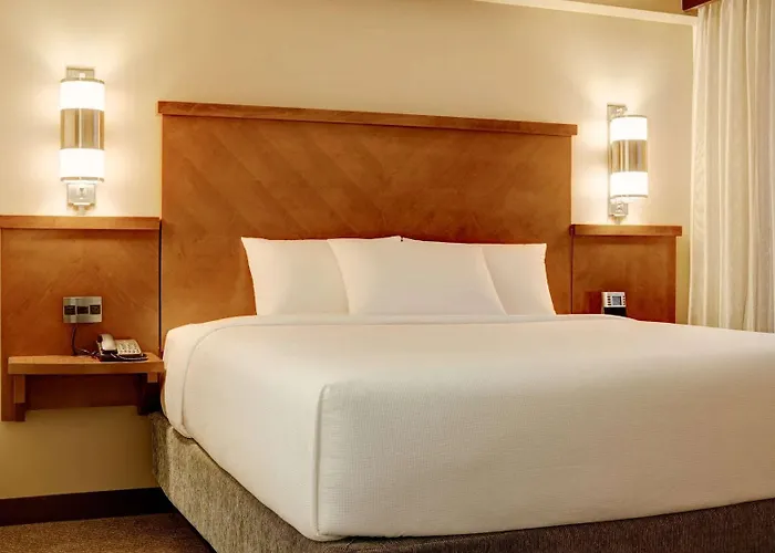 Hyatt Place Airport 3*